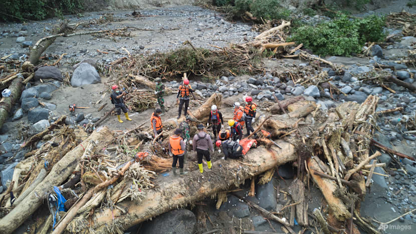 Did deforestation worsen Sumatra disaster? Indonesia to trace timber, summon companies to explain 