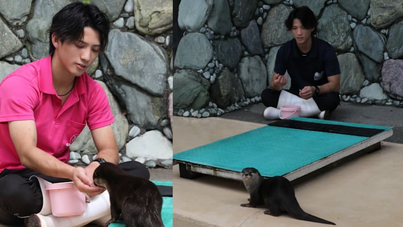 Japanese Aquarium Animal Keeper Goes Viral For His Looks; Visitors Can Now Track Him In Real-Time While He's At Work