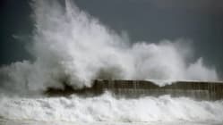 Related article image