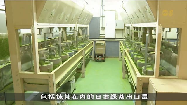 抹茶热潮带动日本茶业复苏 传统茶类供应却承压