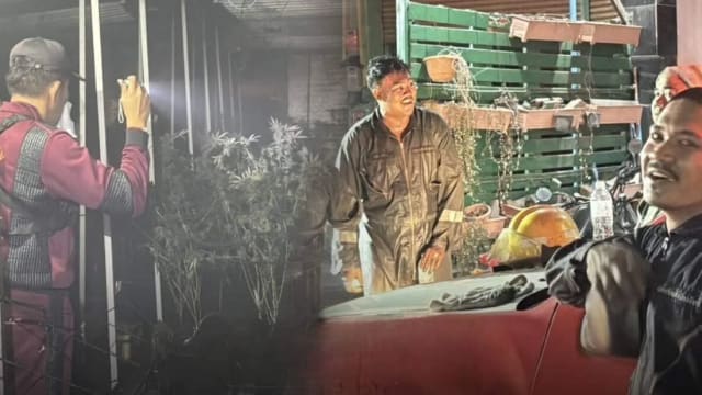 泰大麻种植中心失火烟弥漫 附近民众不自觉地傻笑