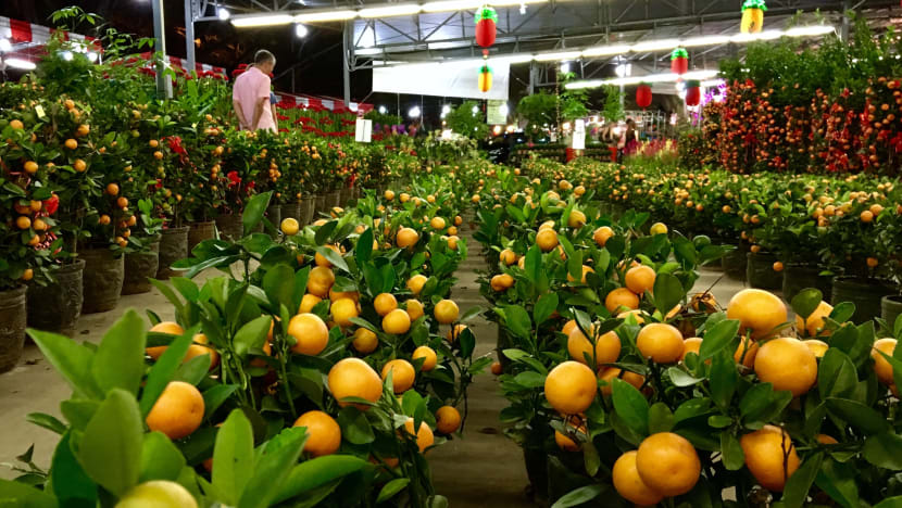 Florists see wilting demand this Chinese Yew Year