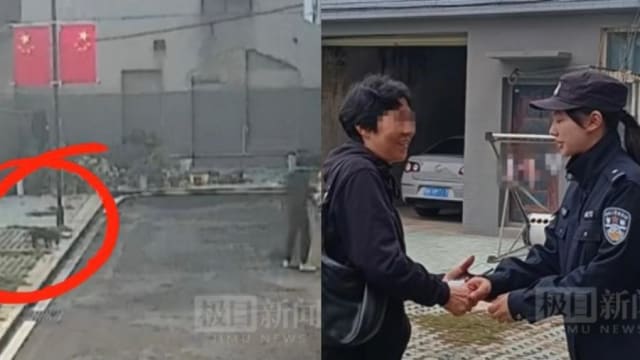 手机不翼而飞  “小偷”竟然是小狗