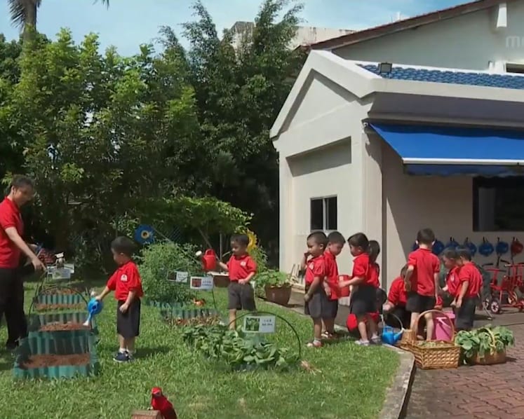Pre-schools in Singapore sowing seeds of sustainability in their pupils