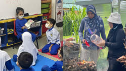 Related article image