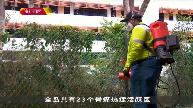 本地骨痛热症病例回升破百