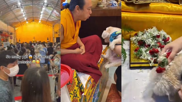 大乘禅寺宠物祈福晚会爆满 延长活动信众终如愿  
