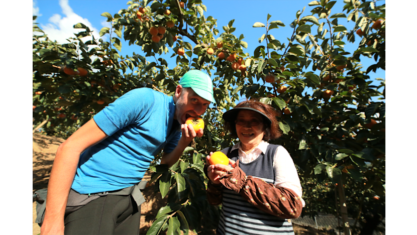 Cycle Around Japan - Wakayama: Journey through a Sacred Landscape
