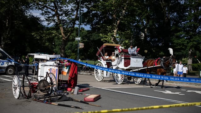 纽约中央公园马车失控 印度少年为救母坠地身亡
