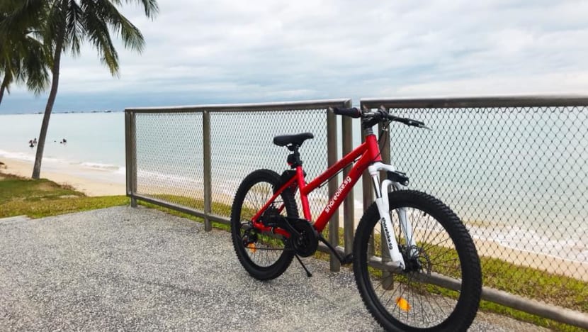 ShareBikeSG exits S’pore, 3rd bike-sharing operator to shut in past month