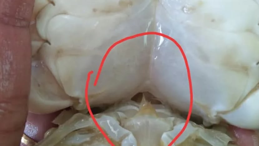 Related article image