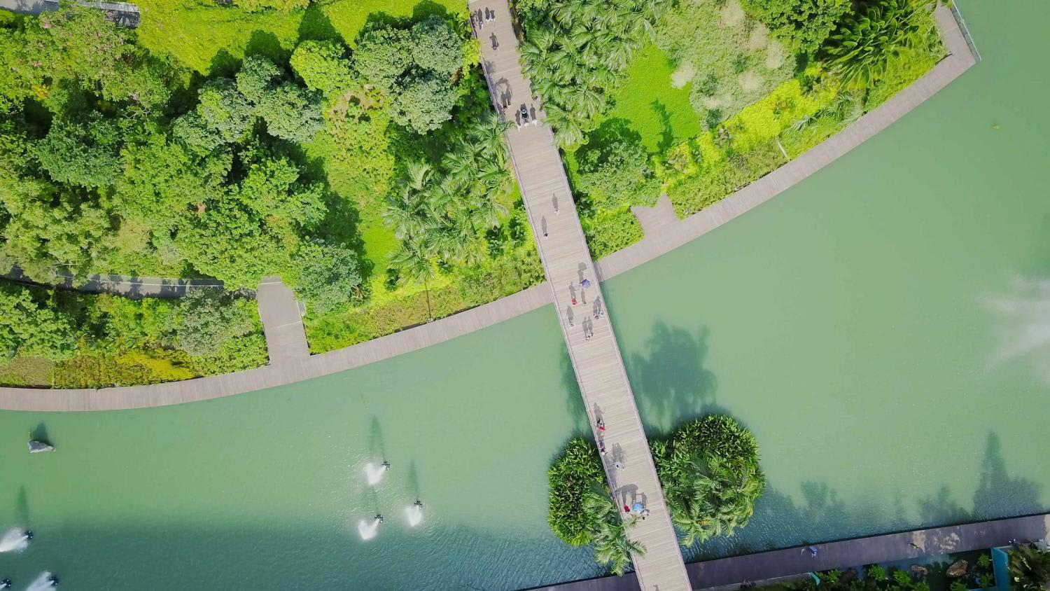 To help mitigate climate change, Singapore is aiming to achieve net zero emissions by 2050 – here’s why, and what you can do to help.