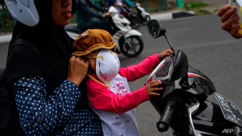 Hampir 10 juta kanak-kanak berisiko sakit akibat jerebu - UNICEF