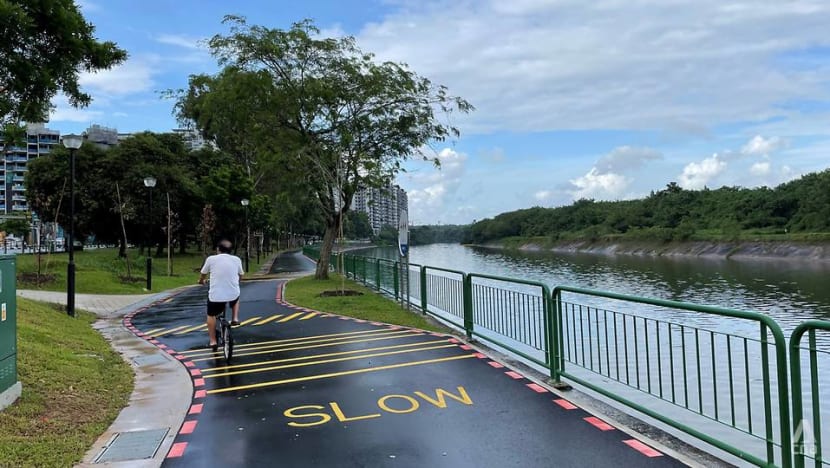 Commentary: Banning bicycles from footpaths won’t make poor cycling habits disappear