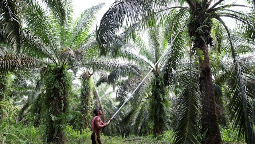 Indonesia issues technical regulations to centralise coal, palm oil, ferroalloy exports