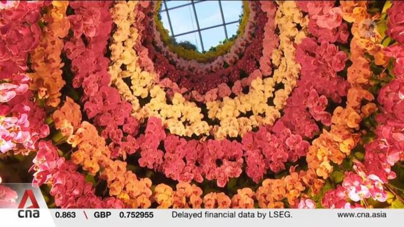 More than 6,000 orchids on display at Gardens by the Bay, making 60 years of nation building