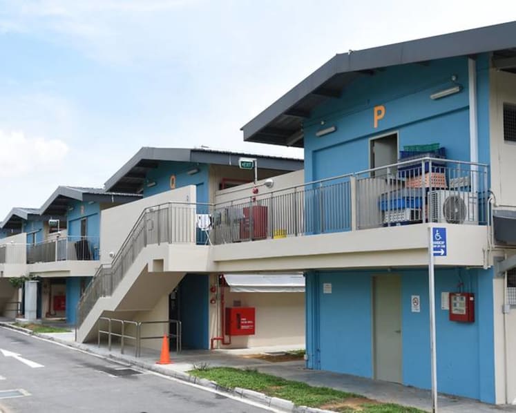 Leases for 8 out of 35 tenants at The Animal Lodge will not be renewed after failing tender requirements: AVS