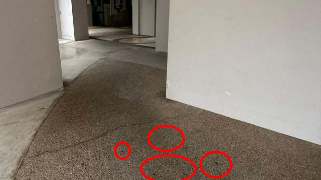 榜鹅组屋区夜间血案 目击者：男子用手握颈血流如注