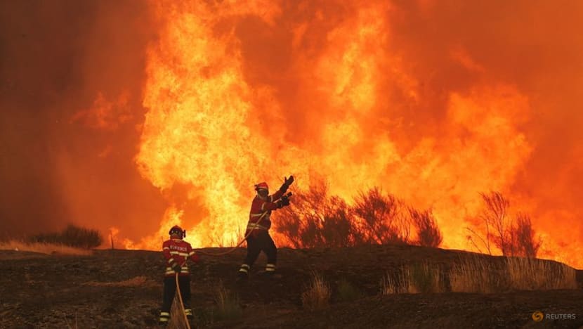 Wildfires fanned by heatwave and strong winds rage across Europe