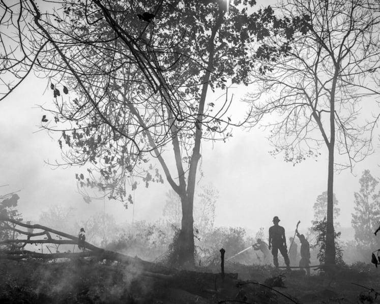 How to stop Indonesia’s devastating forest fires from happening again