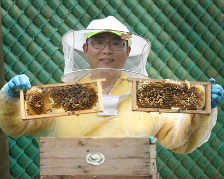 Local beekeeper wants to save pollinators from extermination