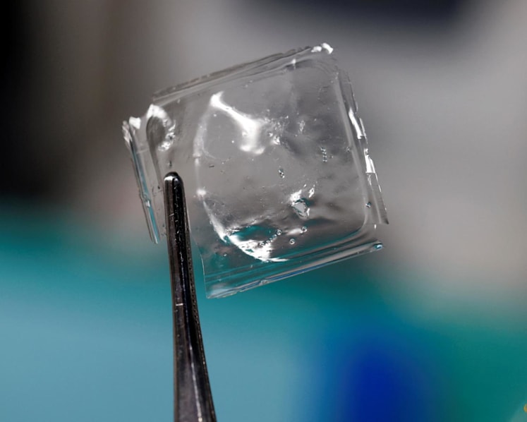 Scientists in Japan develop plastic that dissolves in seawater within hours