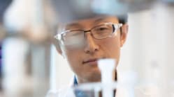 Related article image