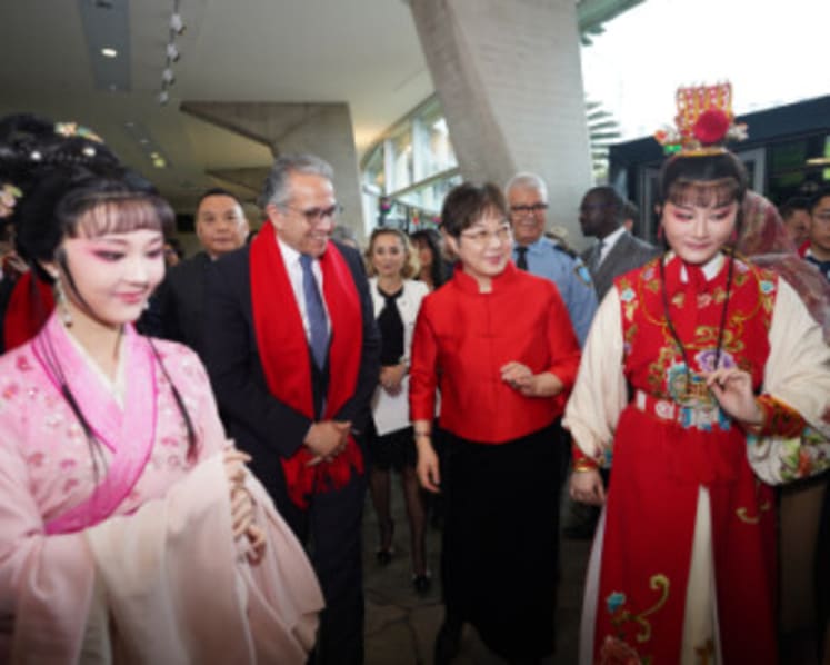 An Encounter with China: Chinese New Year in Paris: Nanjing Intangible Cultural Heritage Shines