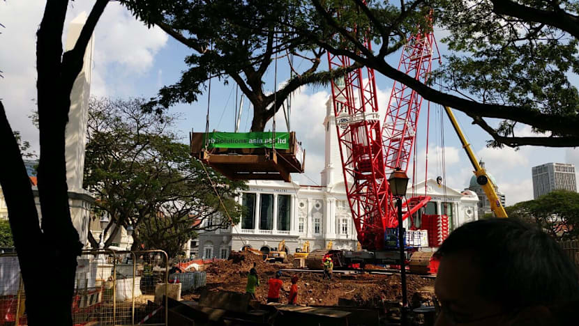 8 trees transplanted to new lawn in front of Victoria Theatre