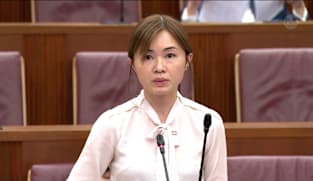 Committee of Supply 2026 debate, Day 1: Tin Pei Ling on reducing compliance burden for businesses and cross border trade friction