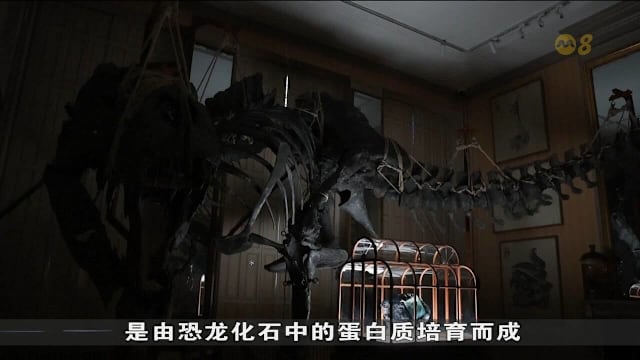 科学家正在探索 利用实验室栽培皮革取代传统皮革