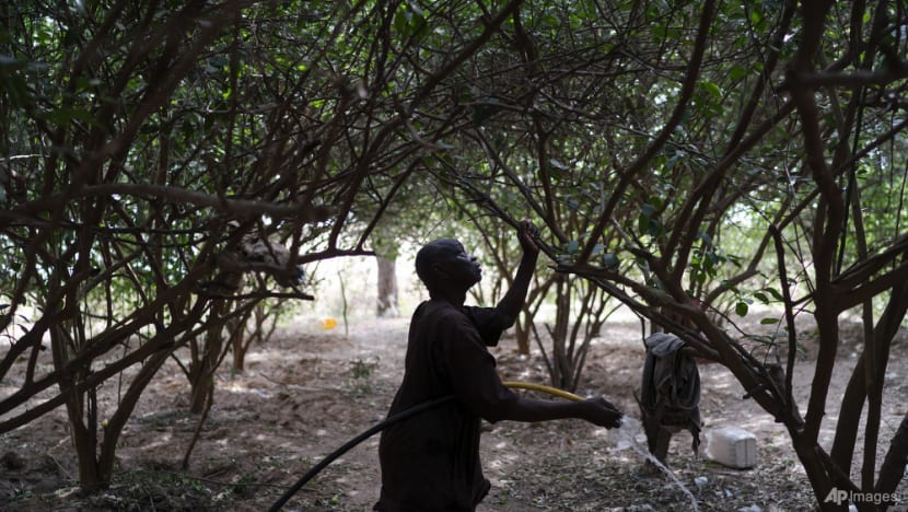 Is solar power the answer to manage Africa's water woes? Is solar power the answer to manage Africa's water woes?