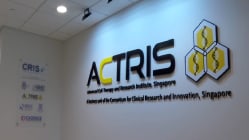 Related article image