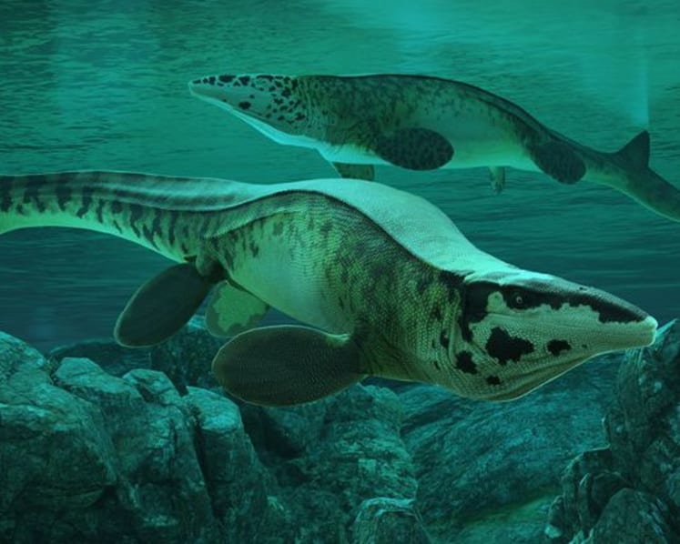 Fearsome dinosaur-era marine reptile was the T. rex of the sea