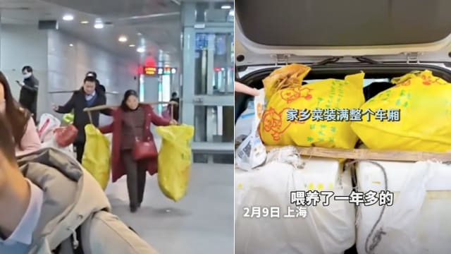 把鸡鸭猪羊打包好 中国父母挑扁担到上海陪孩子过年