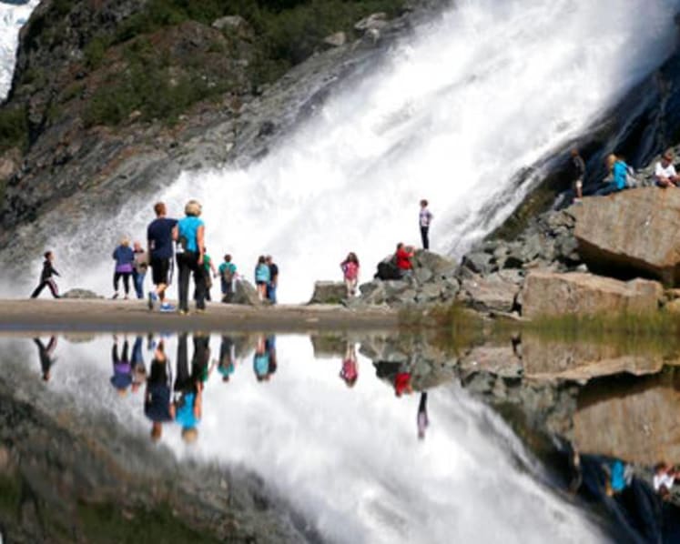 US to end large, old-growth timber sales in Alaska forest