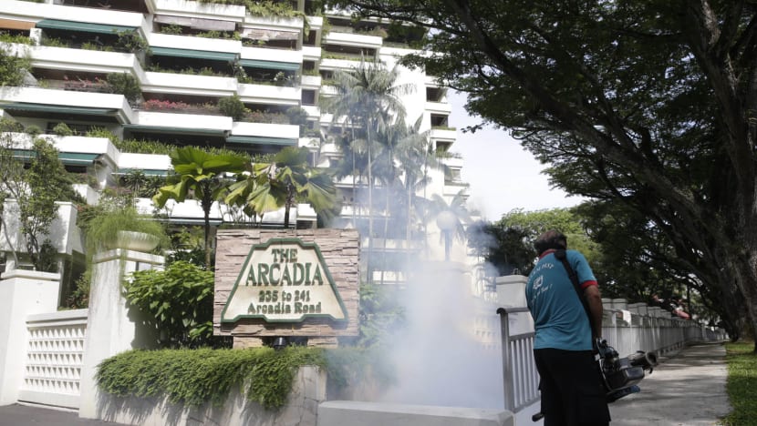 Zika can be contained with intensified operations and public cooperation: MOH