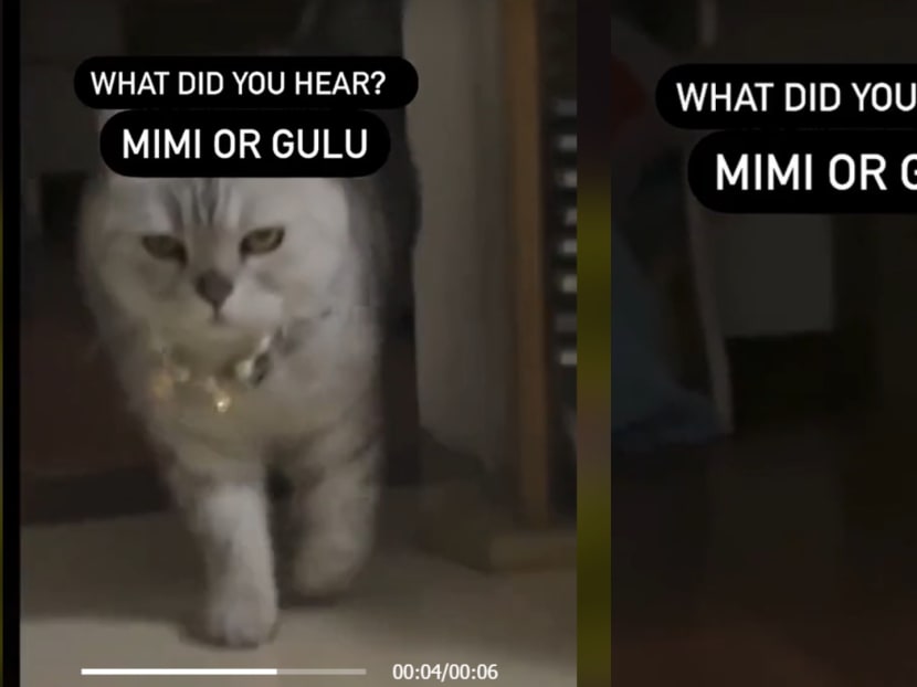 'Gulu or Mimi?': Netizens disagree over what they hear in viral video