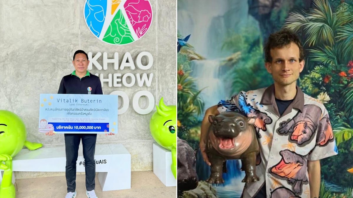 以太坊创始人给“弹跳猪”捐赠39万元改善动物园生活条件- 8world