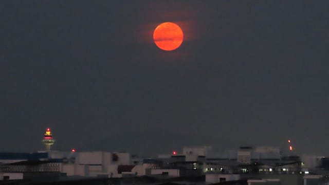 超级月亮“丰收月”登场 民众社媒分享美图