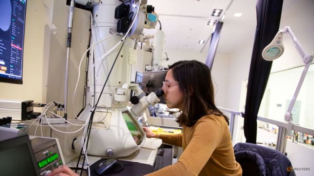Commentary: A US brain drain doesn’t benefit anyone