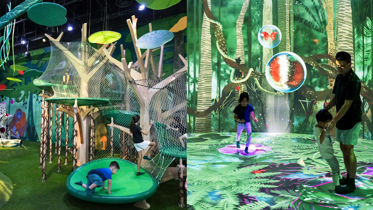 Mandai Wildlife Reserve’s new Curiosity Cove for kids opens No 21, with an orangutan tree-bed, maze tunnel and more