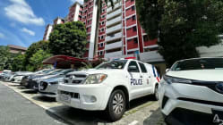 Related article image