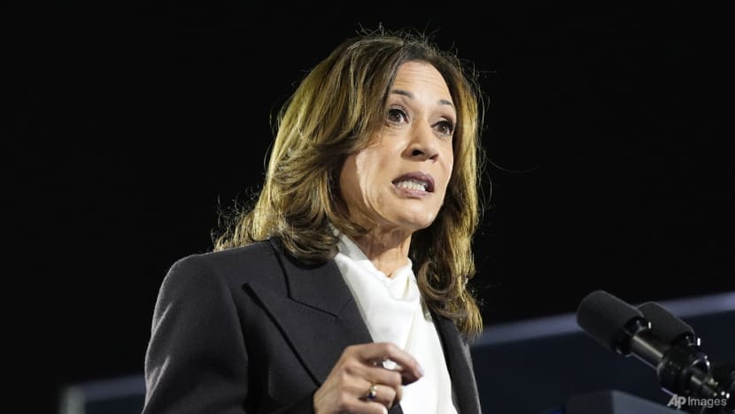 Harris vows to serve 'all Americans,' trying to limit damage from Biden comment Harris vows to serve 'all Americans,' trying to limit damage from Biden comment