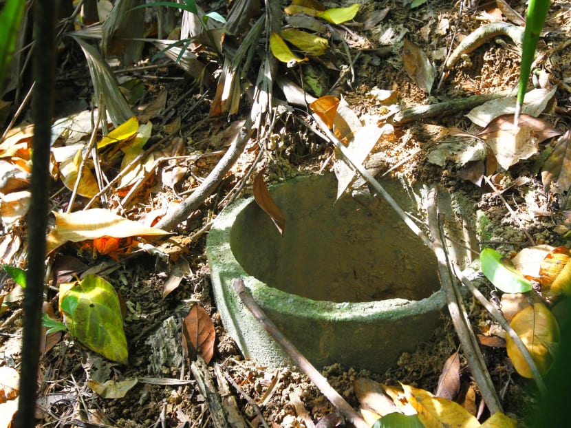 Abandoned war site at Marsiling added to list of NHB guided tours