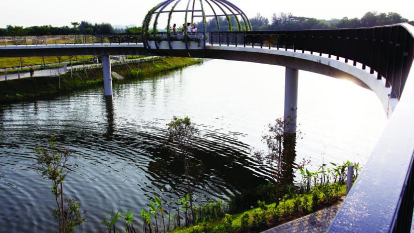 S’pore has enough water supply, says Masagos
