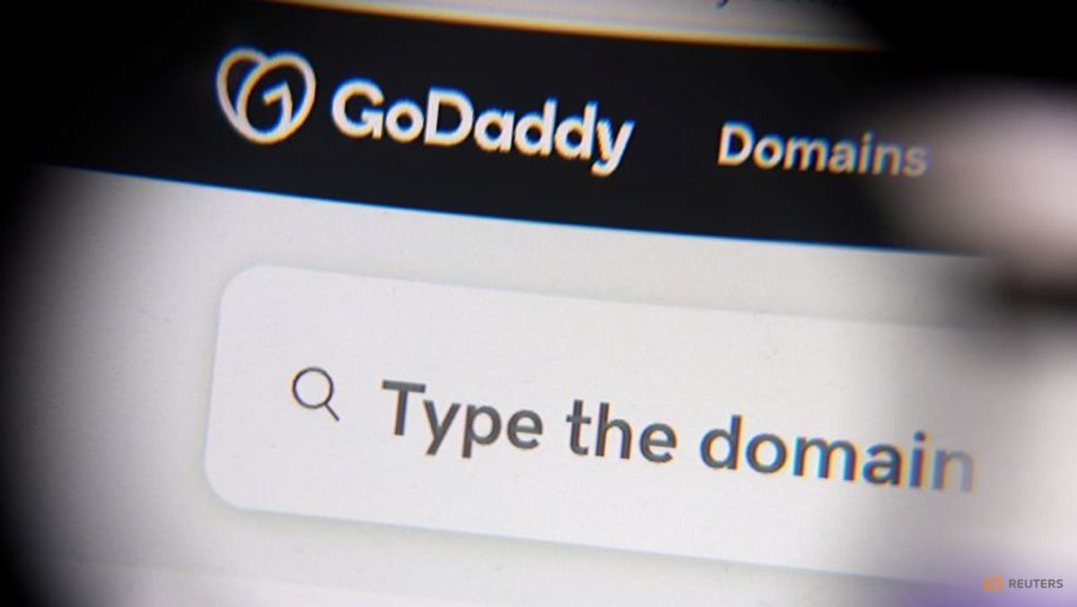 GoDaddy Gugat Aturan Domain India — Ancaman Privasi & Bisnis Global