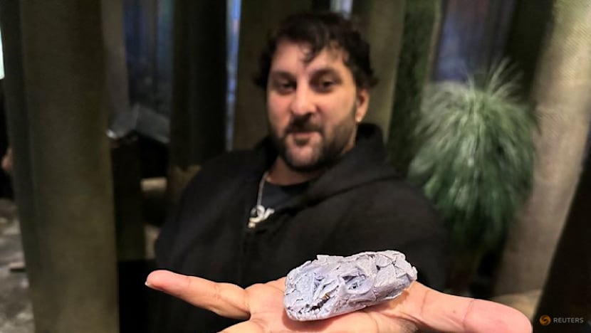 Canadian fossil reveals one of the first plant-eating animals