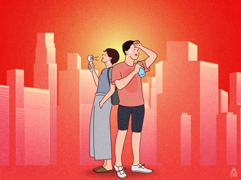 From 'fungi tiles' to S$400 cooling vests: How can Singapore keep its cool as temperatures rise? From 'fungi tiles' to S$400 cooling vests: How can Singapore keep its cool as temperatures rise?