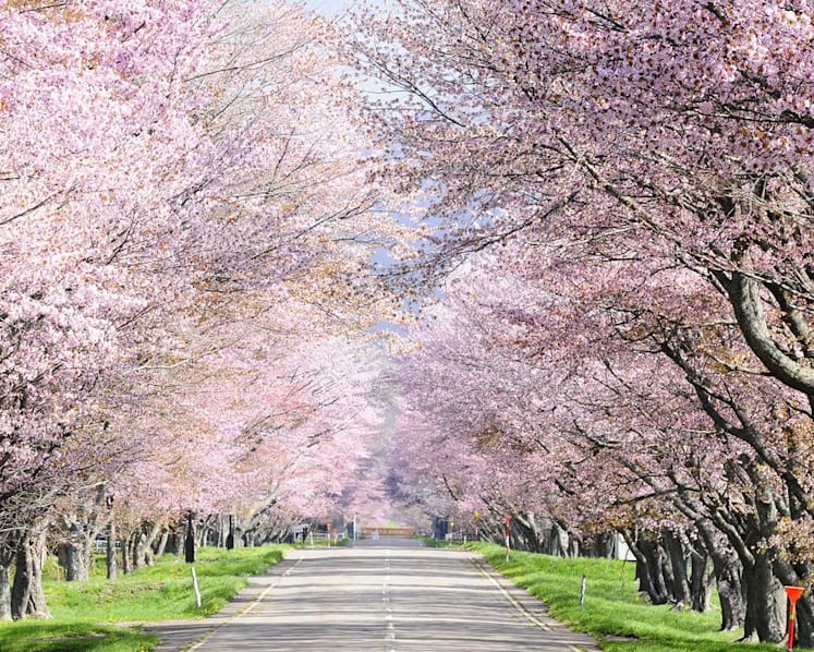 Here's how you can score a free trip to Hokkaido, Hiroshima and Kyushu